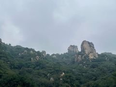 -大岭沟猕猴桃谷风景区