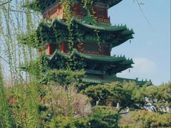 -迎泽公园