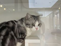 -萌兽医馆·眼科·异宠专科(三里屯店)