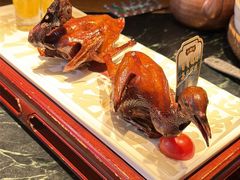 -大鸽饭(北京路店)