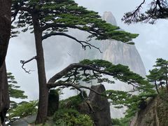 -黄山风景区