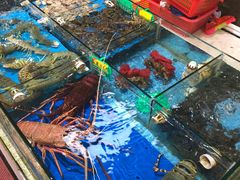 -大东海海鲜酒楼(渔人码头总店)