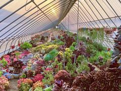 -Rabbit Cafe私房西餐甜点咖啡(栖霞路店)