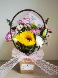 -敦南真爱月子会所(黄埔店)