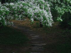 -国家植物园南园