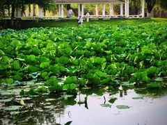 -汉水公园