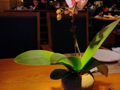 -粤秀餐厅(国货店)