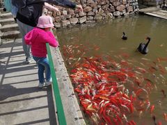 -清风小镇闯关东影视基地