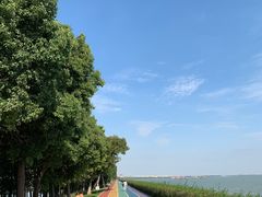 -贡湖湾湿地公园