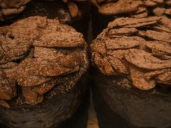 -发酵食堂(屏风街店)