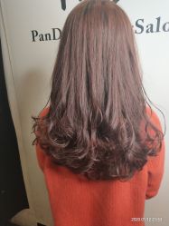 -东方麒麟·潘多拉SALON
