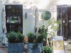 -三里屯东五街银杏大道