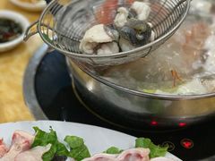 -金砂阿洲鱼册店