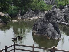 -千岛湖石林