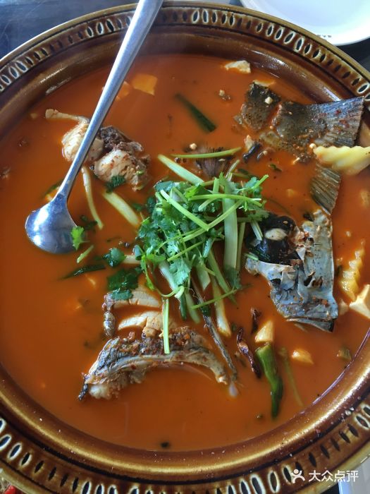 祥云陈氏海稍鱼海稍鱼图片