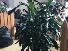 -慈铭体检(洋桥分院)