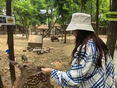 -南戴河国际娱乐中心