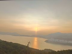 -义顺牛奶公司