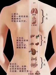 点击看大图 -香薇妮丝女子减肥院