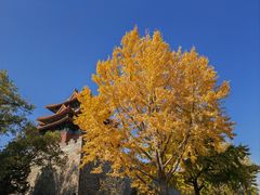 -东华门大街小区