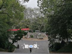 -菊花台公园