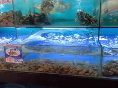水产区-南海渔家•海鲜•正宗海南菜(海棠湾店)
