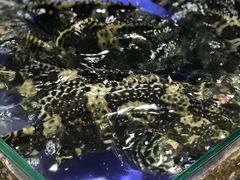-海港湾海鲜加工坊(海鲜大世界店)