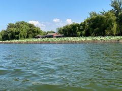 -济南大明湖景区