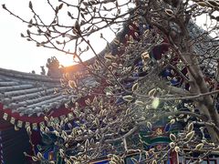 -西安市广仁寺