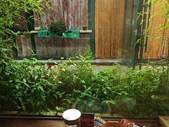 -慢丽江·云南野生菌土鸡锅(付家庄店)