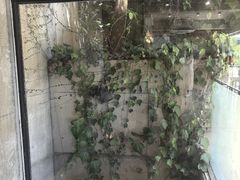 -神户六甲牧场(北野本店)