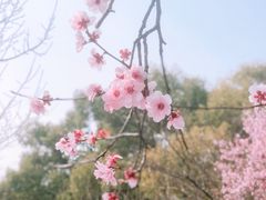 -无锡梅园公园