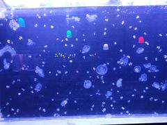 -欧亚达商业广场(红桥店)