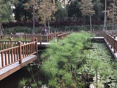 -五缘湾湿地公园