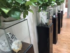 -秦汉胡同国学书院(川沙分馆)