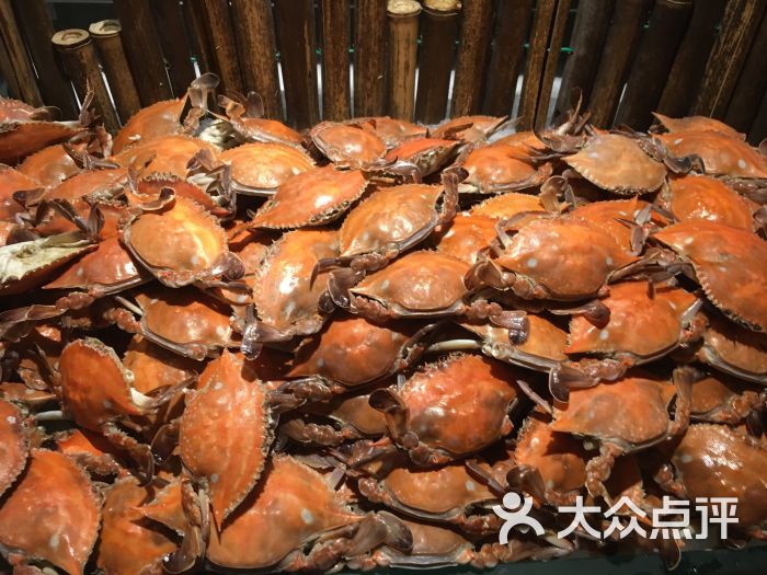 多伦多海鲜自助餐厅(昆山金鹰店-图片-昆山美食-大众点评网