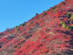 -水峪民俗村