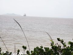 -花岙岛
