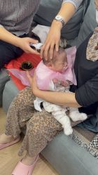 -小博士专业婴儿理发