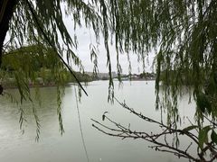 -八大山人梅湖景区