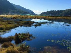 -腾冲北海湿地