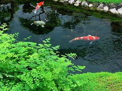 -罗红摄影艺术馆