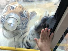 -栾川竹海野生动物园