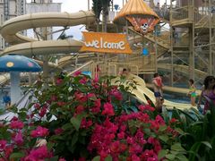 -亚马逊丛林水乐园