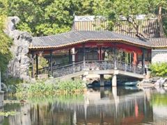 -顺峰山公园
