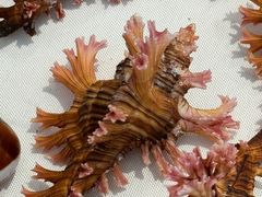 -济南恒隆广场