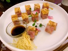 -诺莱仕游艇会