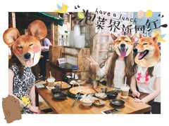 经典部队火锅-包装马车·韩国料理·포장마차