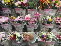 -万达广场(济南魏家庄店)