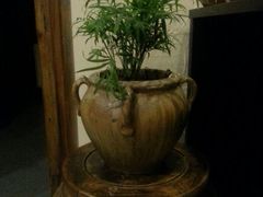 古陶-山水悦茶会所(上海沙龙新天地天宝商业中心店)